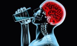 Влияние алкоголя на головной мозг