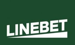 Виды ставок в Linebet: полное руководство для новичков и опытных игроков, и где скачать Linebet apk