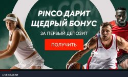 Pinco: влияние новых технологий на работу и где скачать Пинко