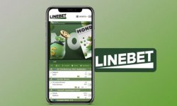 Партнерская программа Linebet: как зарабатывать на сотрудничестве с букмекером и где скачать Line Bet