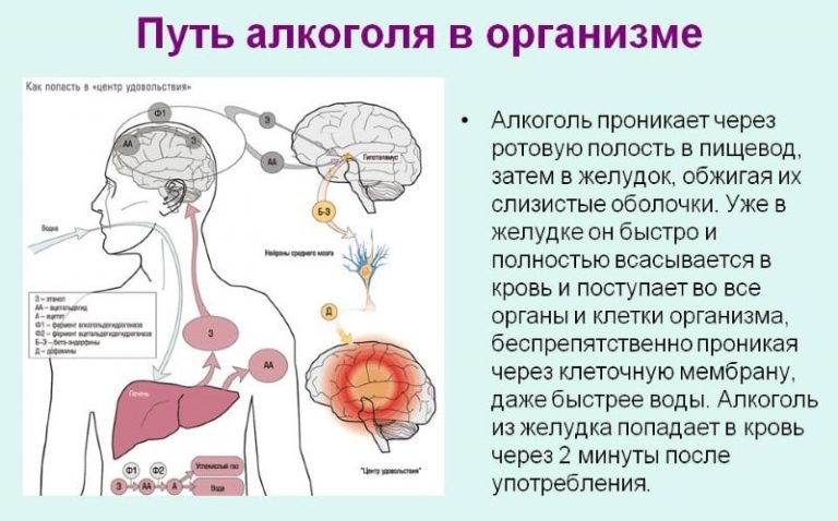 Влияние сотовой связи на организм человека картинки