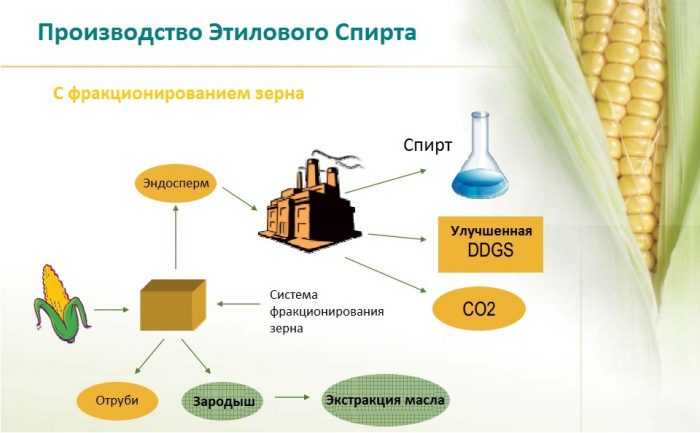 производство этилового спирта